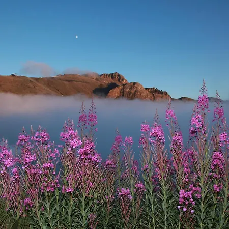 Sailer Daire Kappl (Landeck)